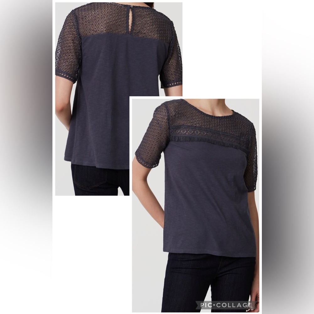 (B1) LOFT Fringe Lace Yoke‎ Tee | Gray Short Sleeve Mixed Media Blouse Top XXSP